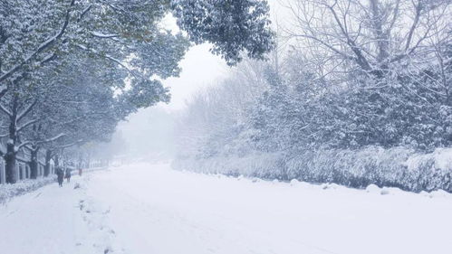 大雪丨三剂疗法,抚慰心脑血管患者