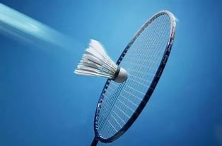 长江杯 羽毛球大赛运动员火热招募中,名额仅剩20位