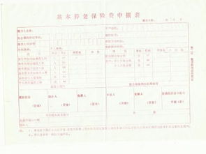 养老保险费报表填写,养老保险申报表怎么填