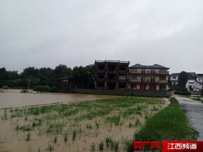 江西九江市湖口县流泗镇遭受98年以来特大暴雨洪灾