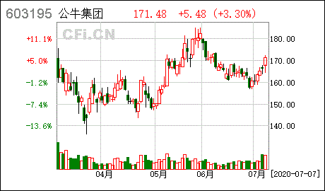 公牛集团股价大跌,造成股价大跌的原因是什么?