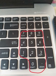 电脑小键盘失灵解决方法