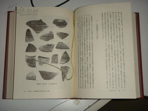 日文原版 夏殷文化の考古学研究 大量插图 不带外盒