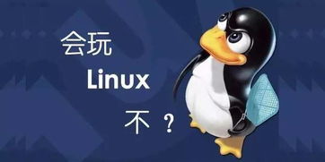 linux诞生于哪一年?,linux系统什么时候出的？