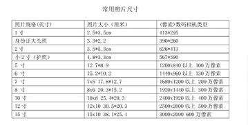 社保卡照片是几寸照片?