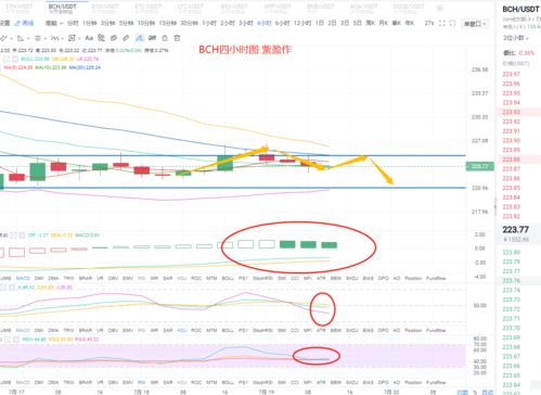 eos币行情最新走势预测 百科