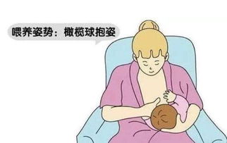 母乳喂养第六课 如何进行乳房护理