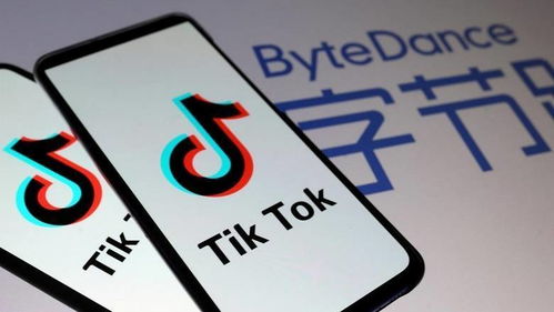 tiktok收益图_TikTok手机环境