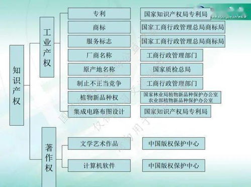 什么是知识产权 小律给您科普一下