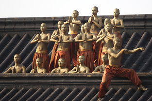 少林寺旅游攻略,揭秘少林寺探访千年古刹，体验武术