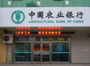 下面哪家大型商业银行既在上海交易所上市，又在香港联合交易所上市？