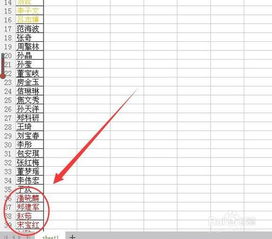 wps中利用单元格字体颜色排序 