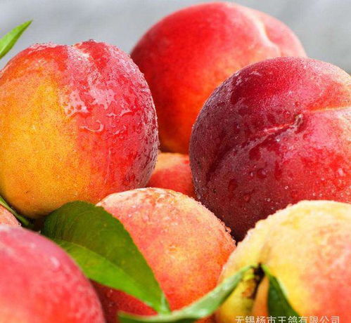 无锡特产水果有哪些,水蜜桃排名第一名？