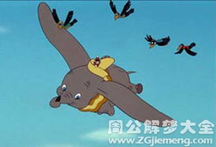 梦见飞翔的小象是什么意思