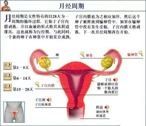 女孩月经 出血时间长 量大 怎么回事啊