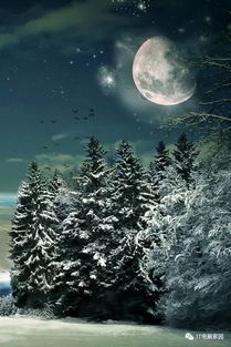 雪看星星看月亮,从诗词歌赋谈到人生哲学