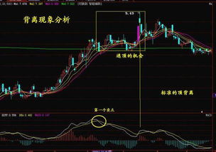 流通盘在大盘中呈现哪个指标图标