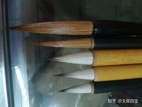 绘画用的毛笔有哪些种类
