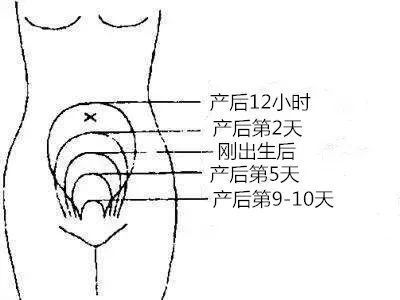 什么是阴年阴月阳日阴时,什么是阴年阴月阴日阴时-第1张图片