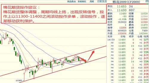  axs币历史价格走势预测,阿希币怎么样 USDT行情