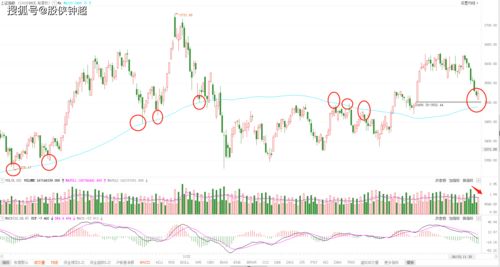 usdc币今日行情走势,usdc币价格震荡上升 usdc币今日行情走势,usdc币价格震荡上升 词条