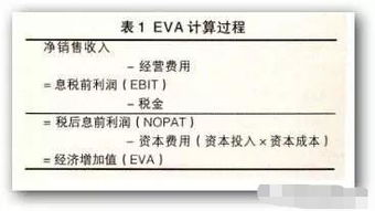 Economic Value Added (EVA) 是什么意思啊？