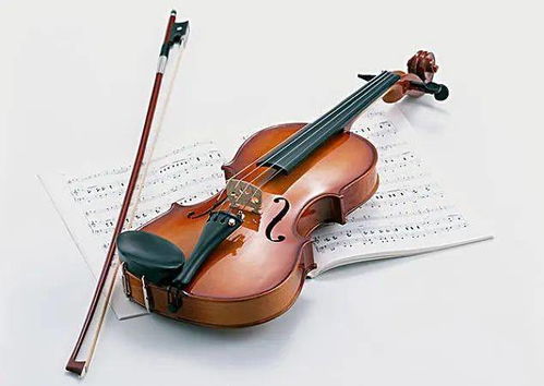三年级佳音小提琴