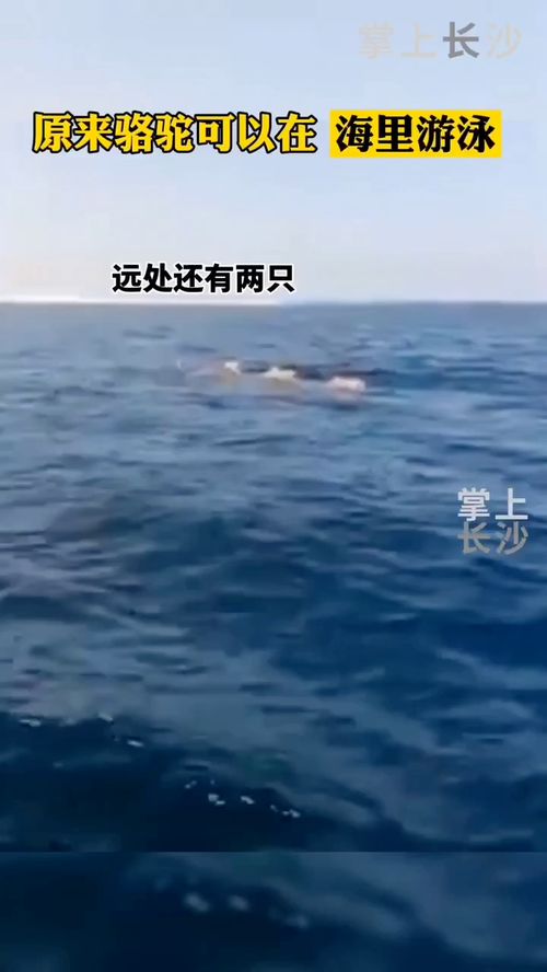 公里海里,海里等于多少公里