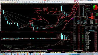 涨停了还会跌下去么