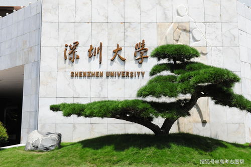 深圳大学收自考生吗现在,深圳大学自考招生专业有哪些？