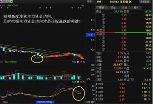 洛阳钼业怎么没有送股,股价却成4.77了