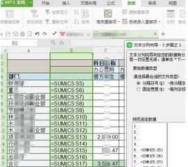 wps分列怎么不去0？wps表格分列不出来