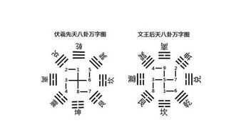 金秀老师 号码含120健康运势中的数字磁场能量学原理