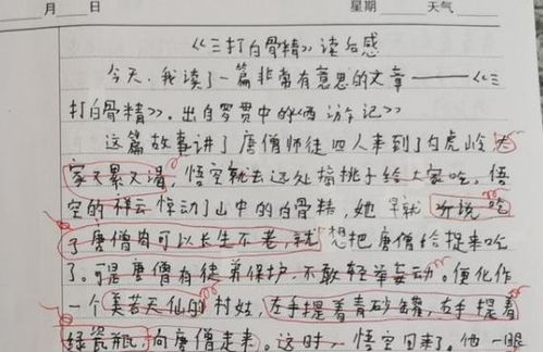 每个女孩都是天使(转载)作文700字