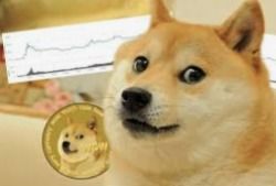 doge狗狗币钱包,doge狗狗币