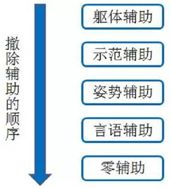 自闭症代币奖励法 自闭症代币奖励法 币圈生态