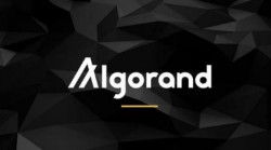  algorand最新消息, gorad Foudaio Aouces Major Proocol Upgrade 快讯