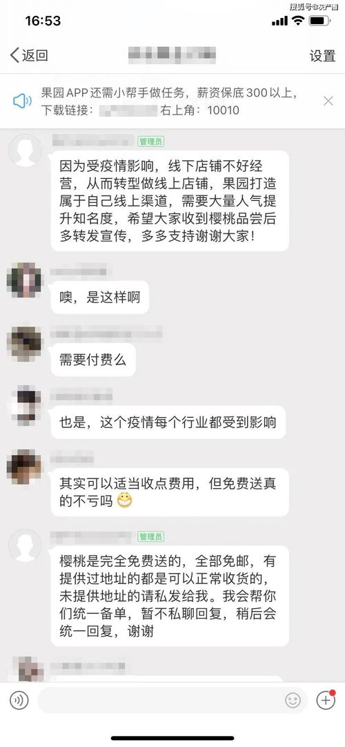 数万元一斤的水果,竟然很多人都喜欢