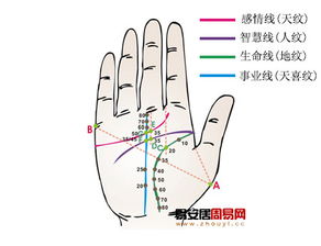 手相流年运势算命图解