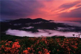 那山 那水 那古寨 5月28日绥宁黄桑休闲亲子游