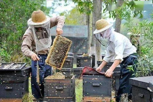 今日关注宝鸡 渭南 延安 汉中