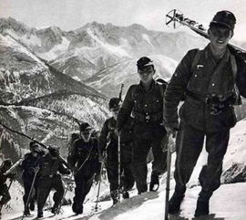 二战德军山地师雪绒花部队,二战时德国伞兵领口上戴的那朵花