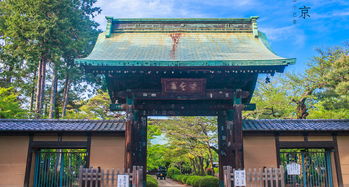 东京豪德寺攻略,豪德寺门票 地址,豪德寺游览攻略 马蜂窝 