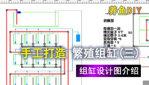 手工打造,繁殖组缸 三 ,组缸设计图,上水管 下水管 气路设计方案 