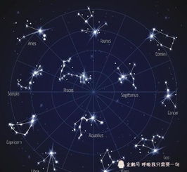 12月十二星座运势 从节制 压抑的氛围,逐渐走向的乐观未来 