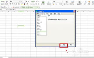 如何在Excel WPS 中编写开头为0的数字