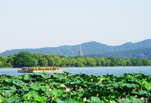 杭州的景点有哪些著名景点(罗沙免费停车场有哪些景点)