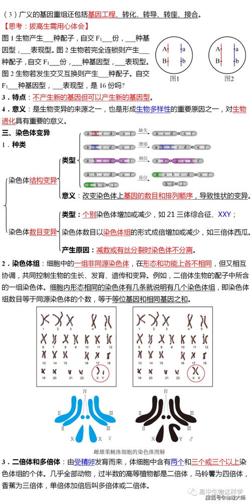 高中生物 必修2基础知识大全,快收藏