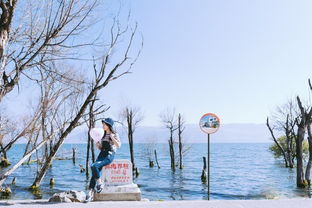 现在季节去哪旅游好