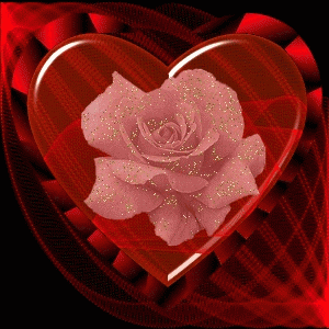 玫瑰动态图片,娇艳欲滴的玫瑰,象征好的爱情,美的令人陶醉